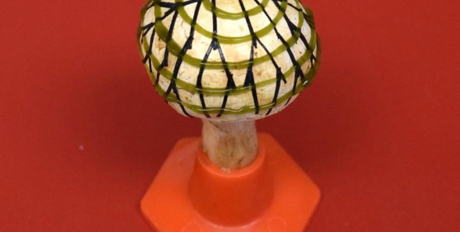 American Chemical Society