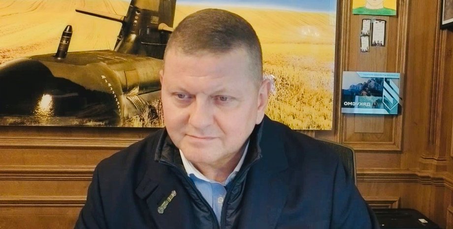 СБУ відповіла на заяву Залужного про обшуки: що відомо