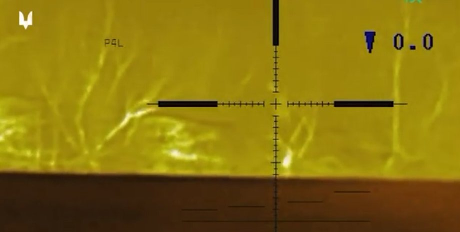 Окупанти, російський військовий, приціл, ЗС РФ