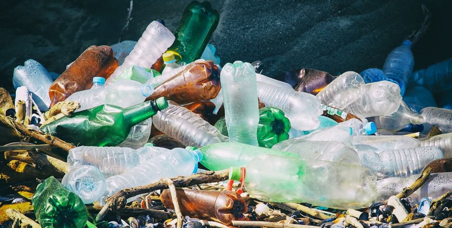 Фото: Nature News