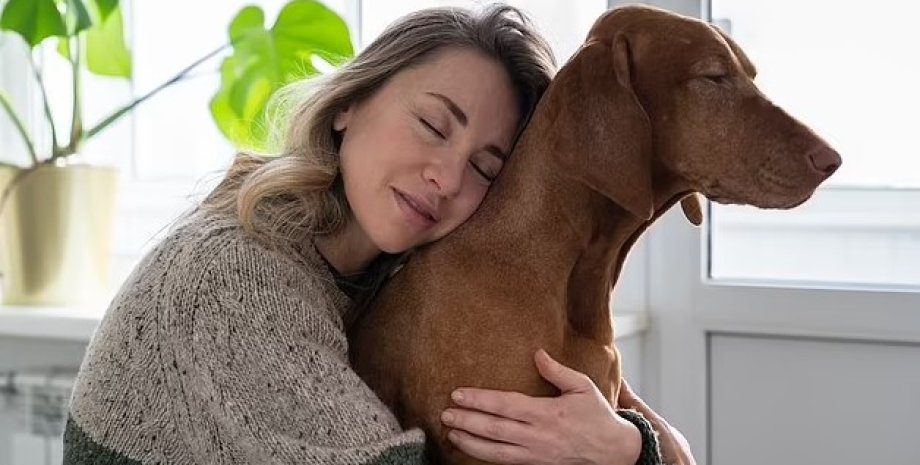 Собаки не только чувствуют наш стресс, но он влияет и на их настроение собаки, собаки и люди, собаки и люди стресс