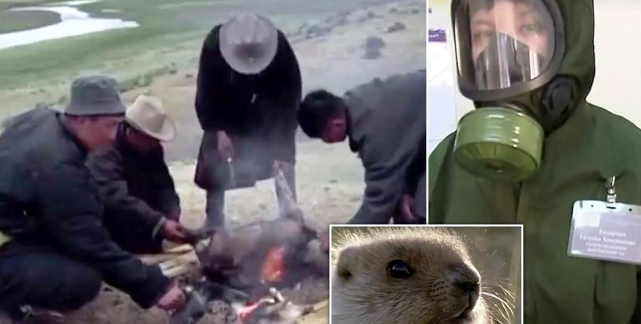 Коллаж: dailymail.co.uk