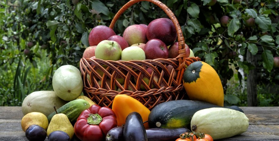 Овочі й фрукти зібрані у кошик в Україні