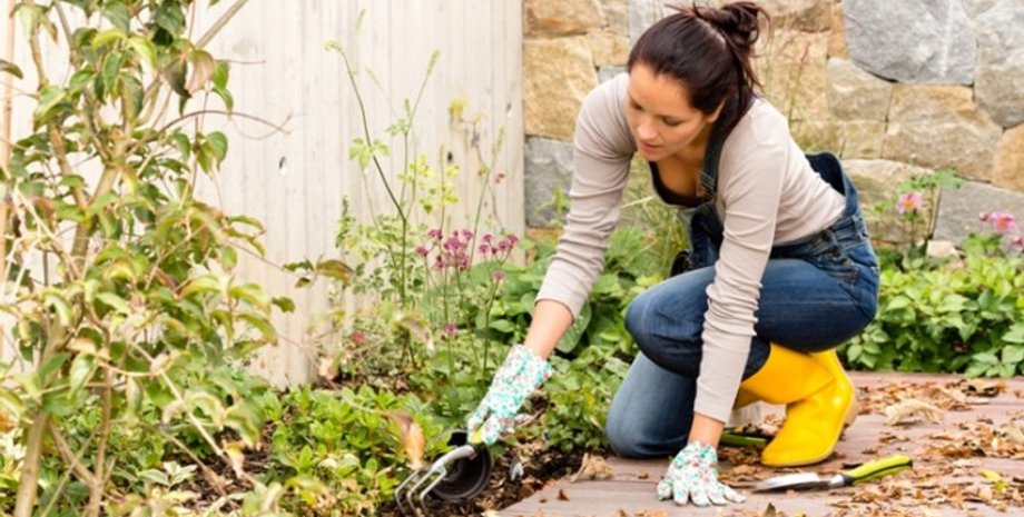 Женщина в саду, обмен домами, нашла в саду ценные вещи, обмен недвижимостью, уборка в саду, заросший сад, соцсети,