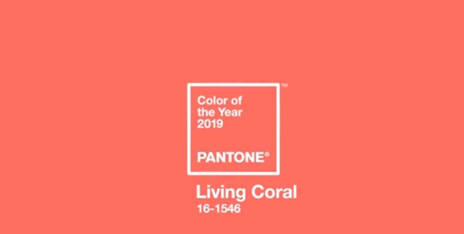 Фото: Pantone