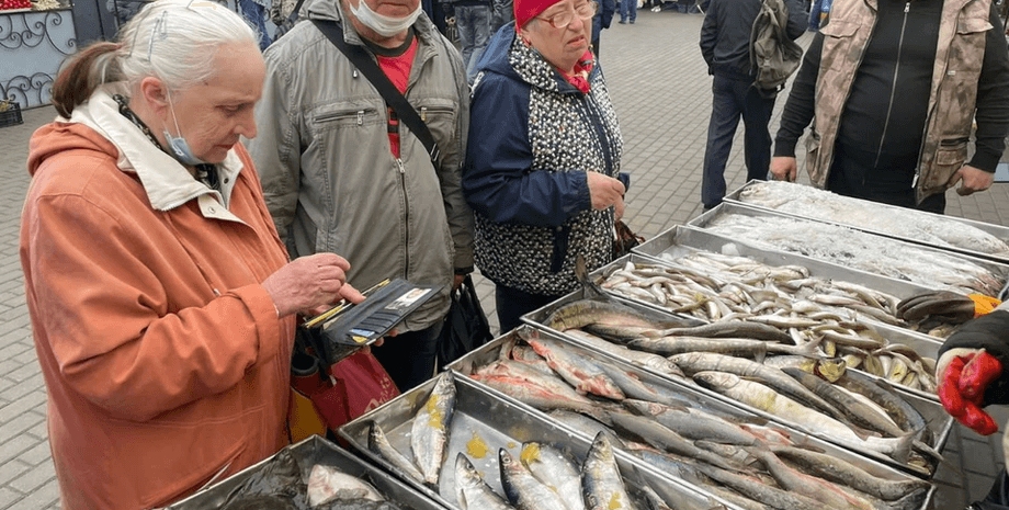 черга, риба, сахалін