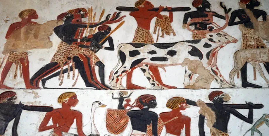 захоронение, раскопки, археологи, археология, история, ремень, женщины, спина, позвоночник, останки, позвонки, череп, скелет