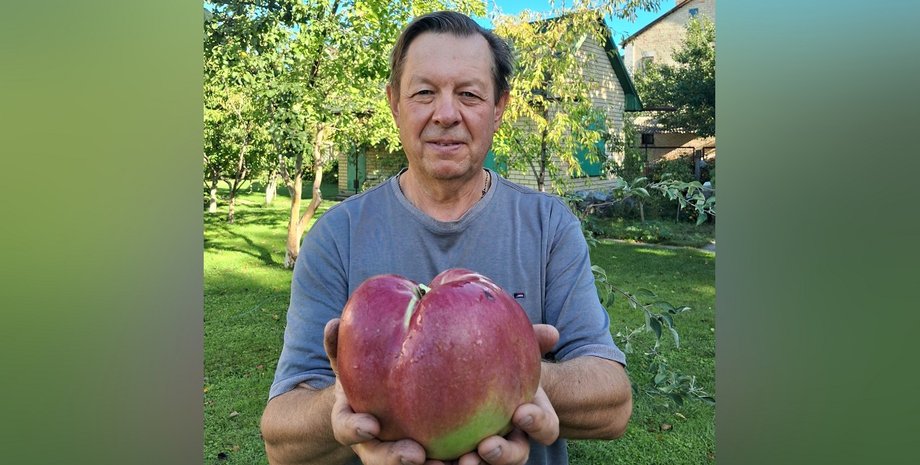 Юрій Кожем'якін виростив гігантське яблуко