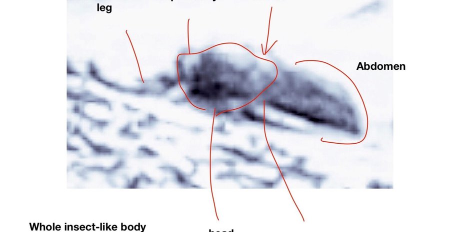 Фото: NASA/JPL-Caltech/Annotations by William Romoser