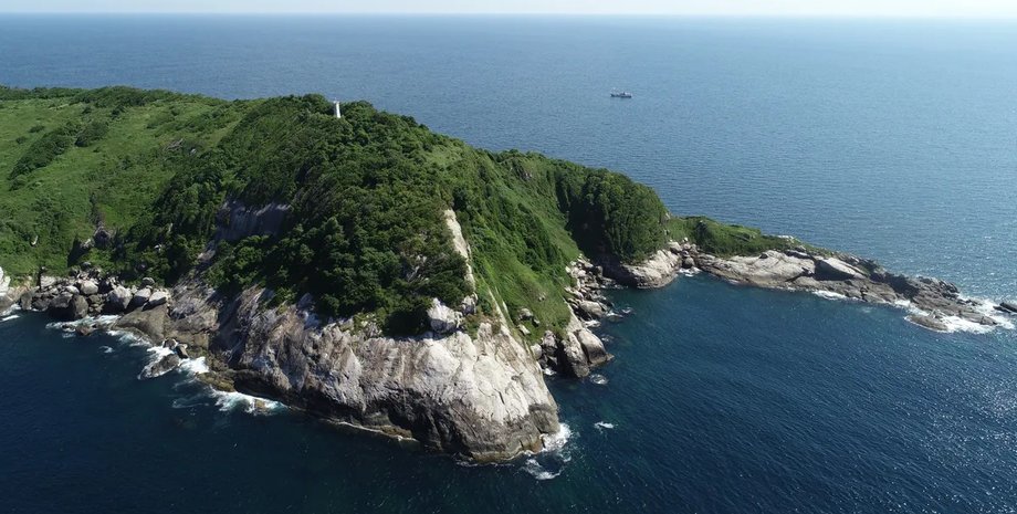 остров, змеиный остров, змеиный остров бразилия