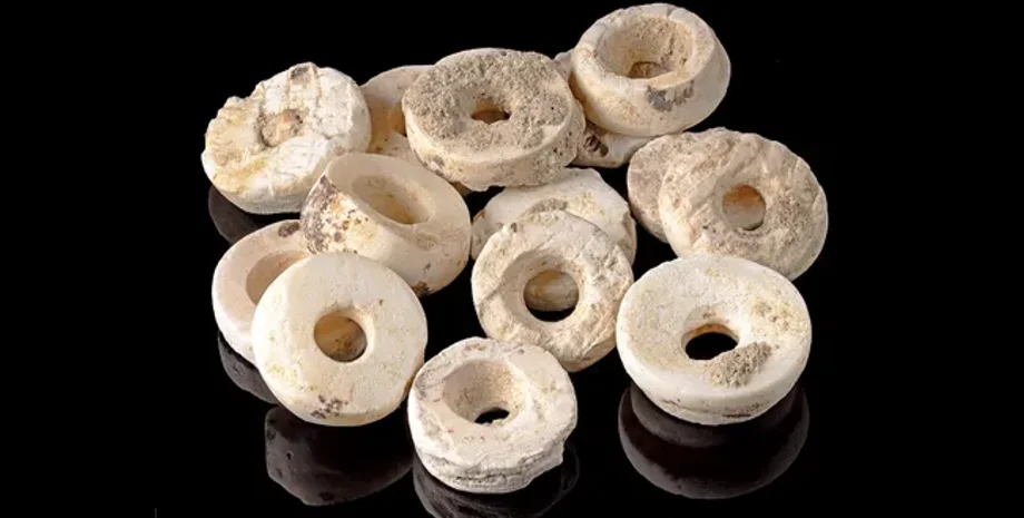 археологи, археология, Испания, захоронения, женщины, бусины, одежда, ракушки, украшения, исследования, открытия, одежда