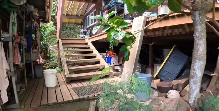 Жизнь дикарей в джунглях, пара прожила 50 лет без цивилизации, туризм, путешествия, необычный образ жизни, видео, США