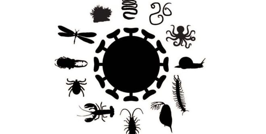 Фото из открытых источников