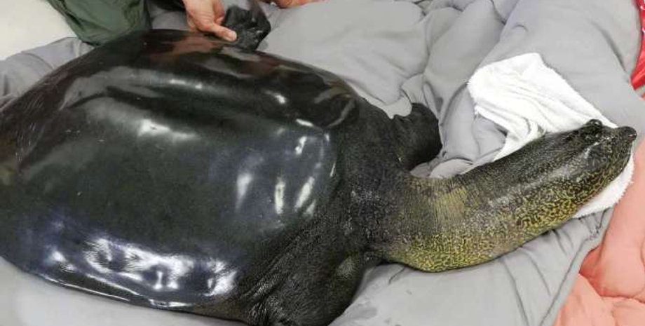 Фото: twitter People's Daily China