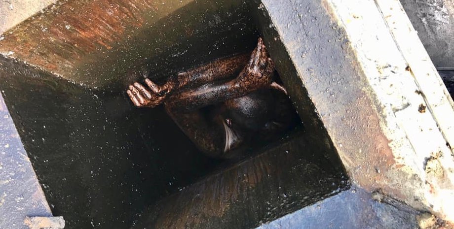 Фото: Alameda County Sheriff's Office