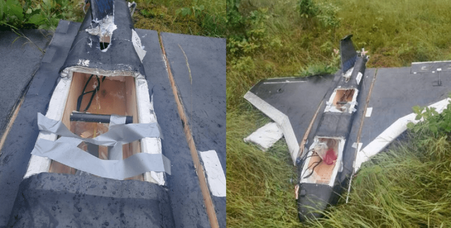 Дрон ВС РФ залетел в Литву В Литву запустили дрон из Беларуси