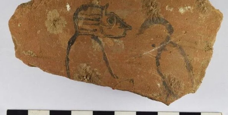 черепок, рисунок, животные, фото