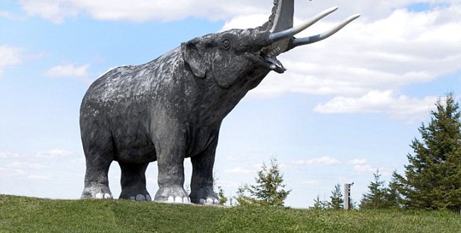 Так вышлядел мастодонт / Фото: Shutterstock