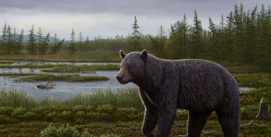 Реконструкция внешнего вида Protarctos abstrusus / Иллюстрация: Canadian Museum of Nature