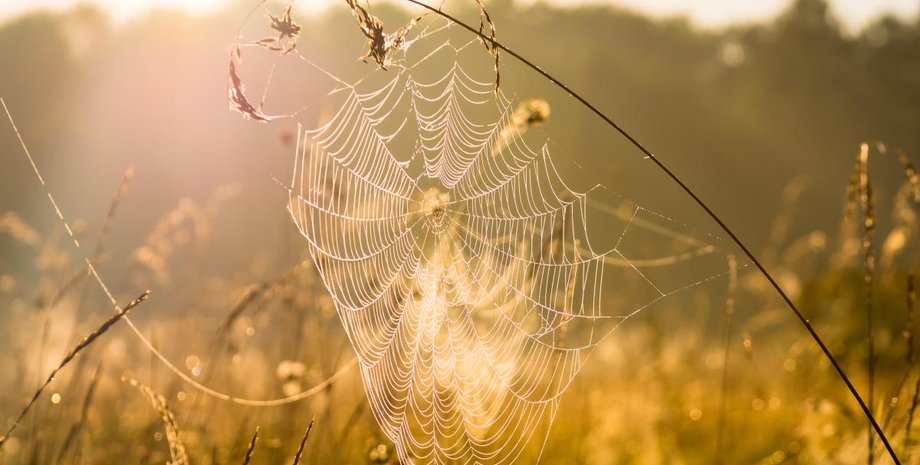 когда наступит бабье лето, Бабье лето, погода в Украине, осень, погода в сентябре, погода в октябре, прогноз погоды