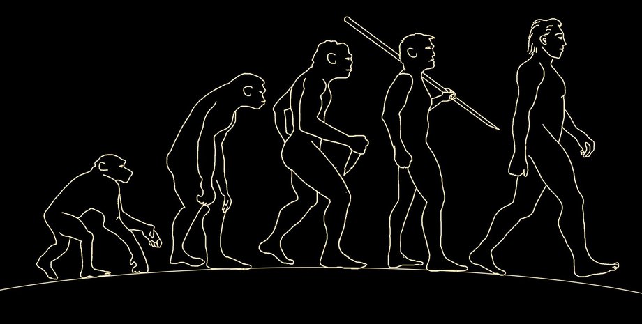 Фото пользователя laurencerouault на Pixabay