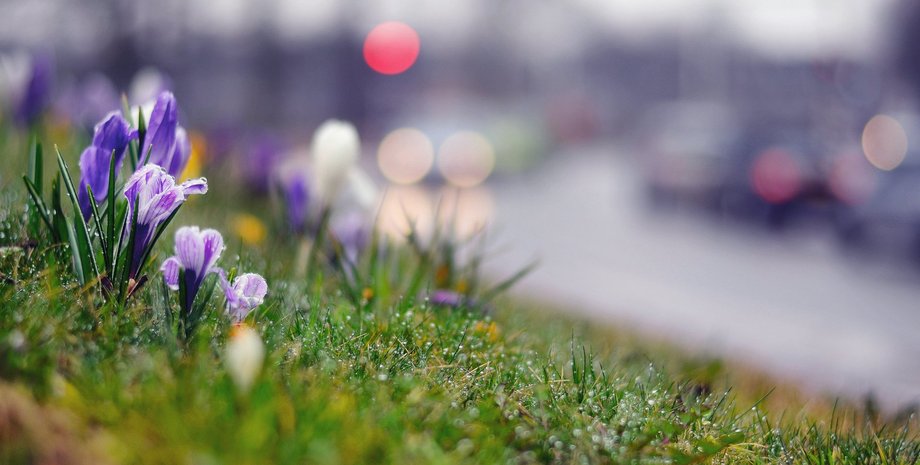 весна, первоцвіти, березень, погода