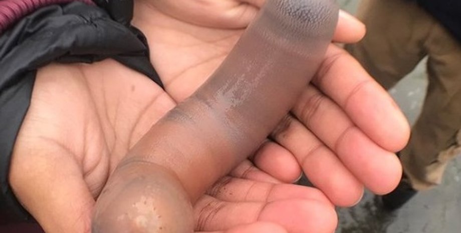 Фото: Instagram/baynaturemagazine