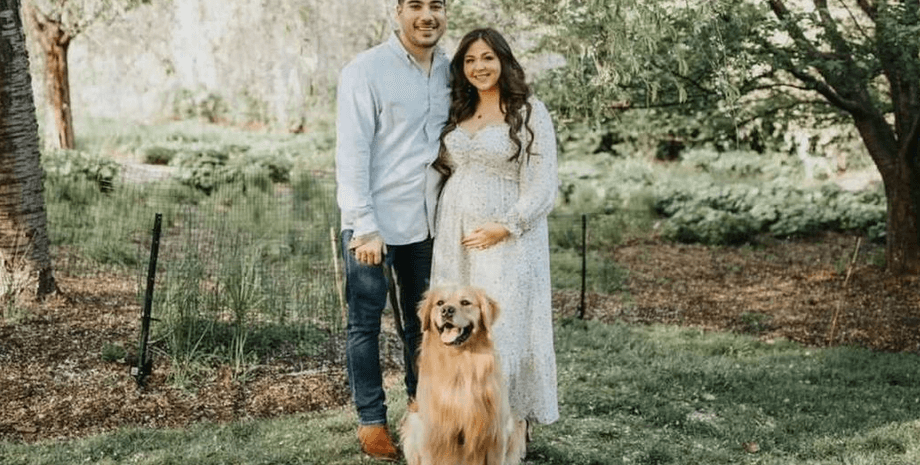 Сімейна пара, собака, домашня тварина, весілля,