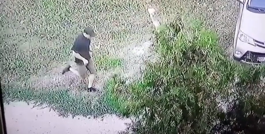 Фото: скриншот видео