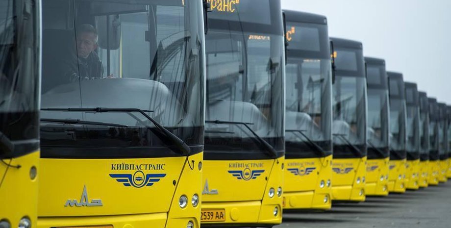 Фото: УНИАН