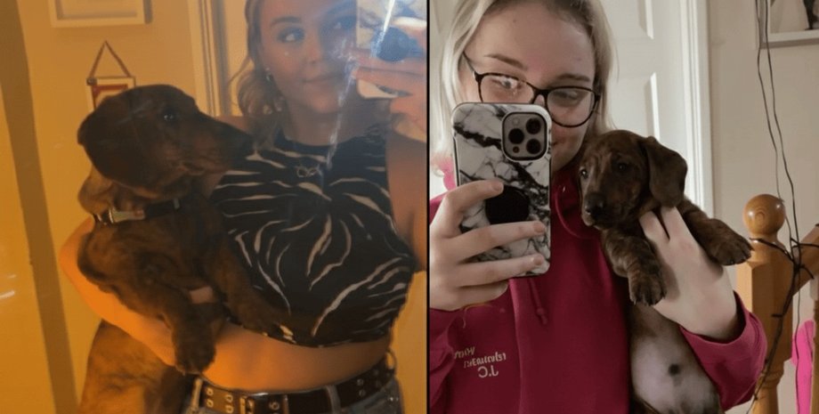 Джессика и пес Уинстон