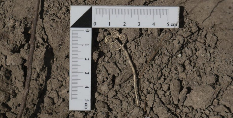 археологи раскопали золотую брошь