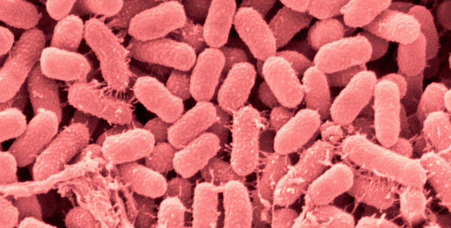 Фото: Популярная механика