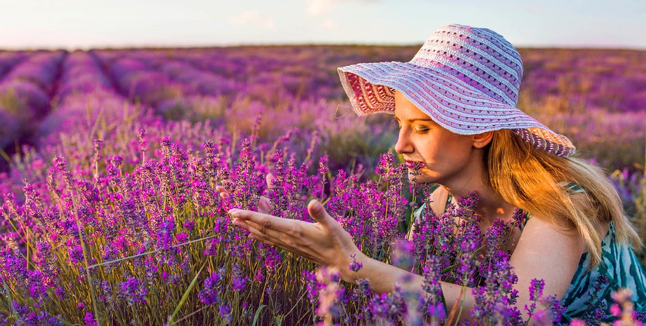 История лаванды, древнегреческая оценка, ботаническое значение, ароматические свойства, терапевтическое использование, лаванда в Древнем Египте, историческое происхождение, выращивание лаванды, лекарственные растения, лавандовые поля в Греции