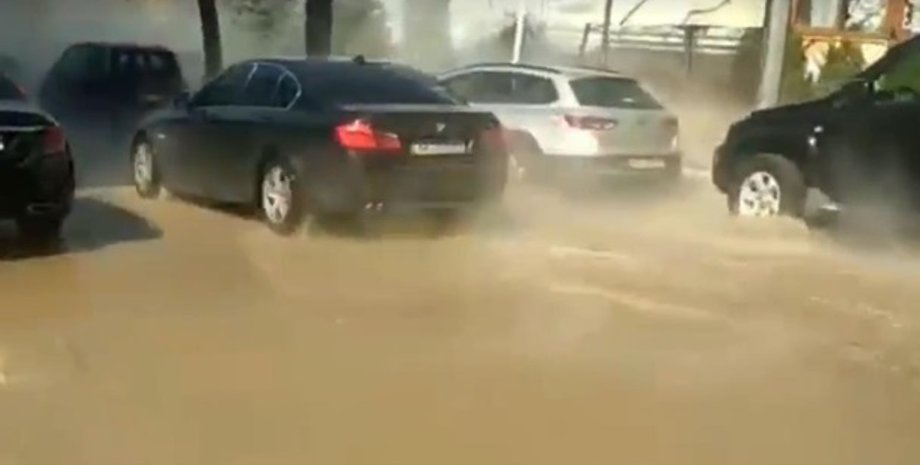 Фото: Скриншот