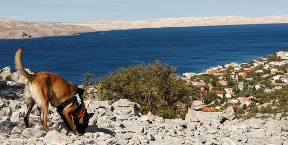 Фото: Zlatko Bala/Department of Archaeology/University of Zadar