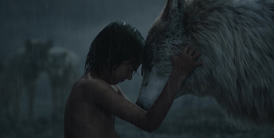 Кадр из фильма "Книга джунглей", фото пользователей InspiredImages и designerpoint на Pixabay, Wikipedia