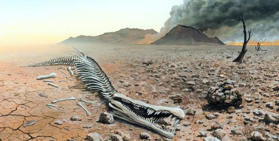 Вымирание, массовое вымирание, скелет, пустыня, вулкан