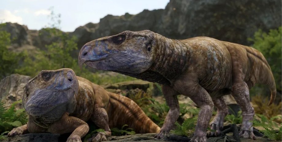 динозавры цератопсы