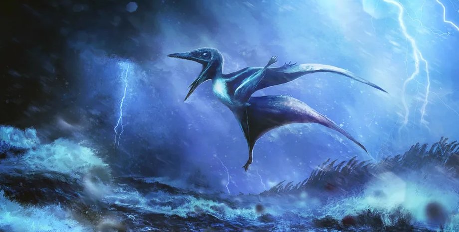 птеродактиль детеныш