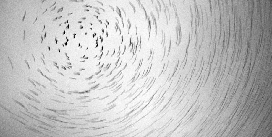 Фото: Getty Images