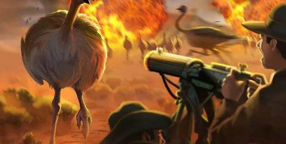 Австралія, кулемети, війна ему, страуси