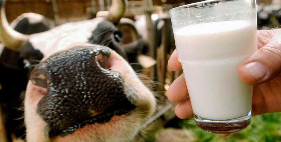 Фото: hyser.com.ua