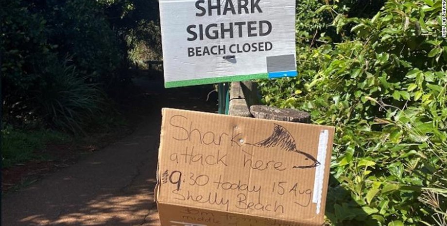 Фото: Surf Life Saving