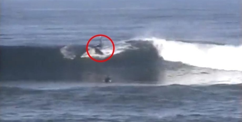 Нападение акулы