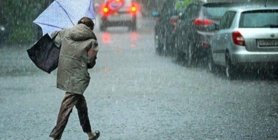 Фото: 24 канал