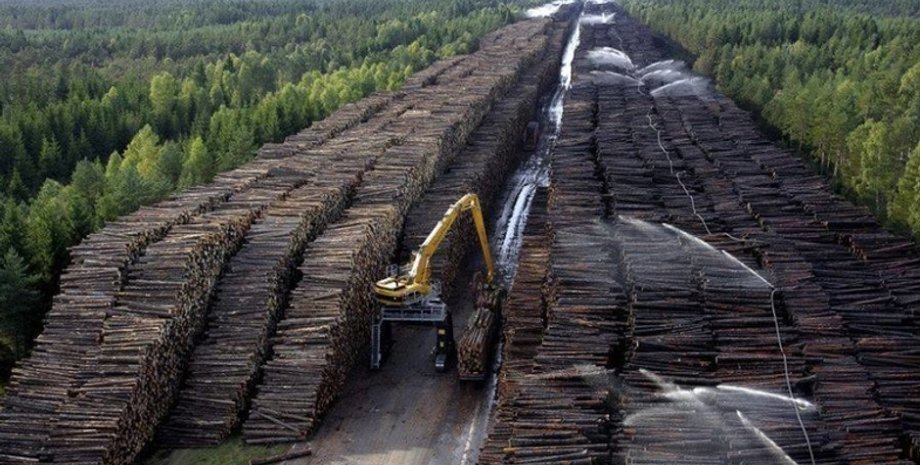 Фото: Бизнес Вести