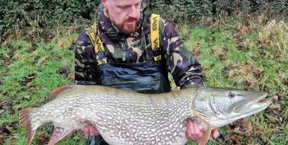 Рекордный улов, щуку, рыбалка, Великобритания, фото, курьезы