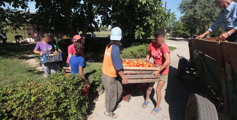 Фото: ombudsman.gov.ua