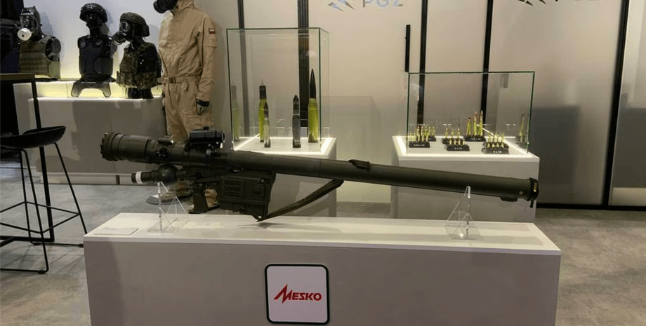 польське озброєння